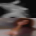Horny females first time cocks