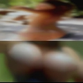 Free horny girls Schoharie